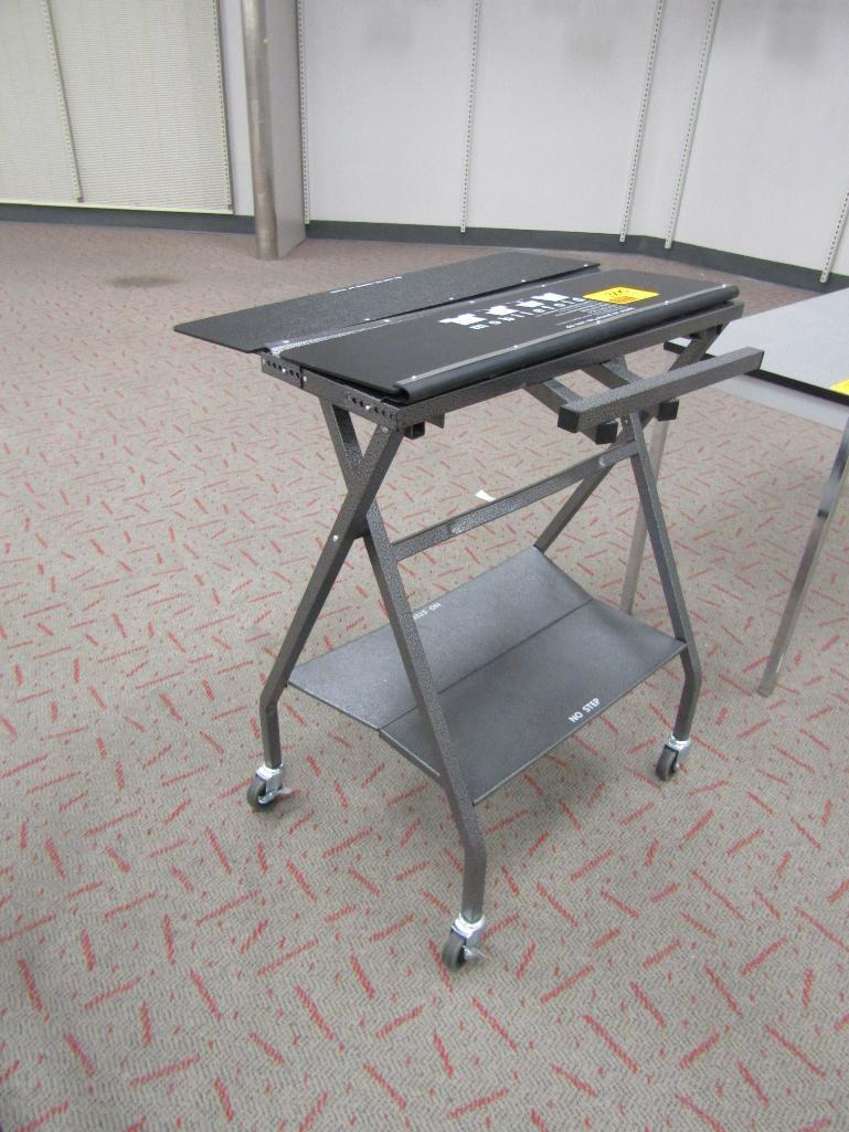 Lot 300 Target, West Jordan Grafe Auction