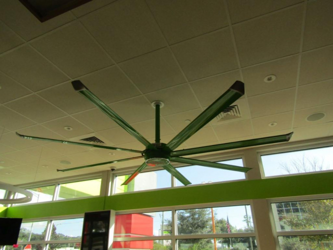 Lot 157 Wow Fresh Fast Tampa Grafe Auction